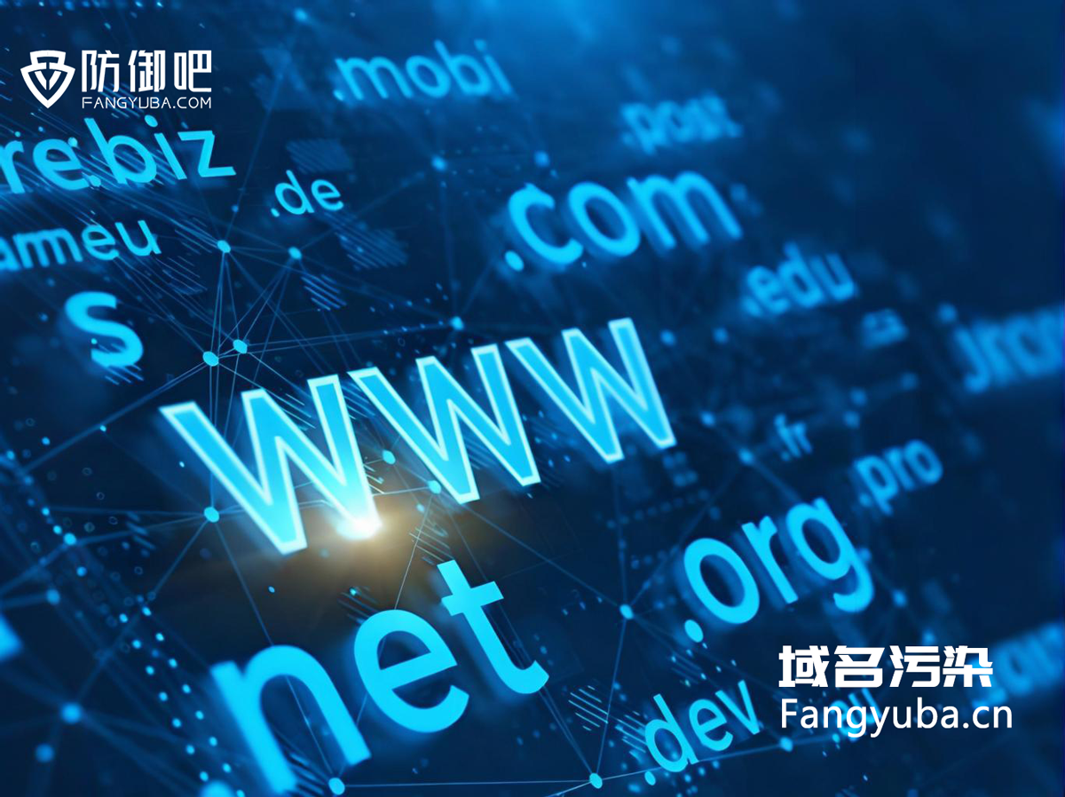 域名污染
